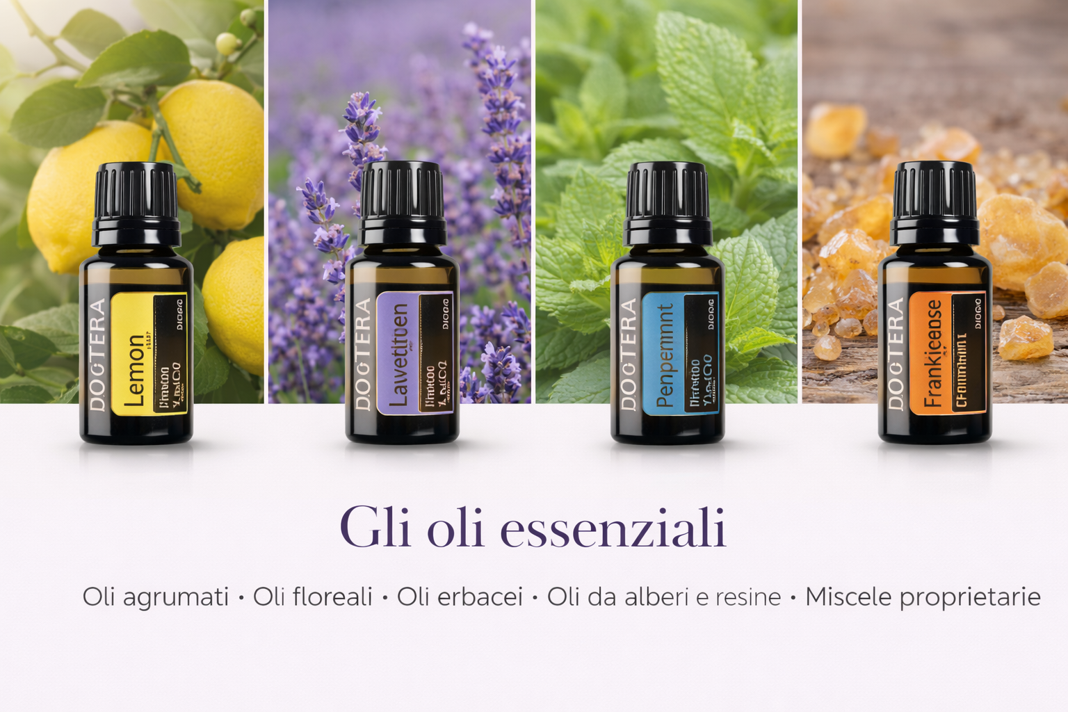 Gli oli essenziali – estratti naturali dalle piante